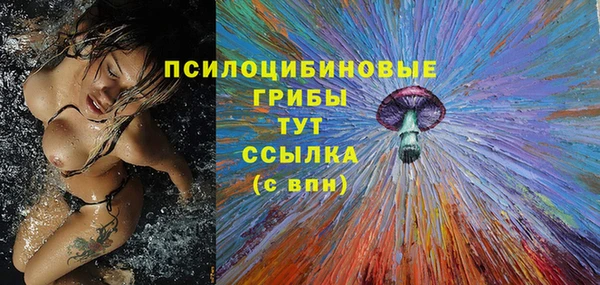 spice Волосово