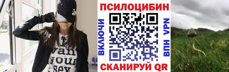 Псилоцибиновые грибы мухоморы Ачинск